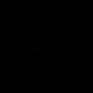 Meet your Posher, Chelsea